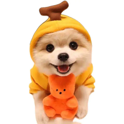 Cute AndCozy Costumes For Pet