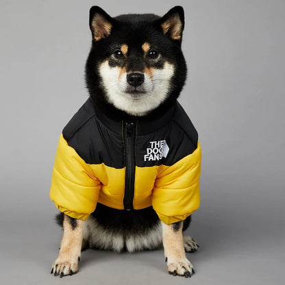 Luxury Winter Dog Jacket