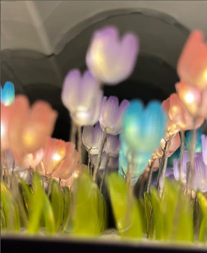 Cloud Tulip Mirror Lamp